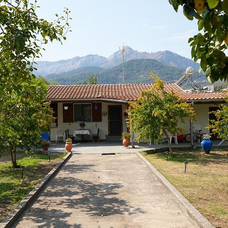 Olive Summer House Chrysi Ammoudia Luaran gambar