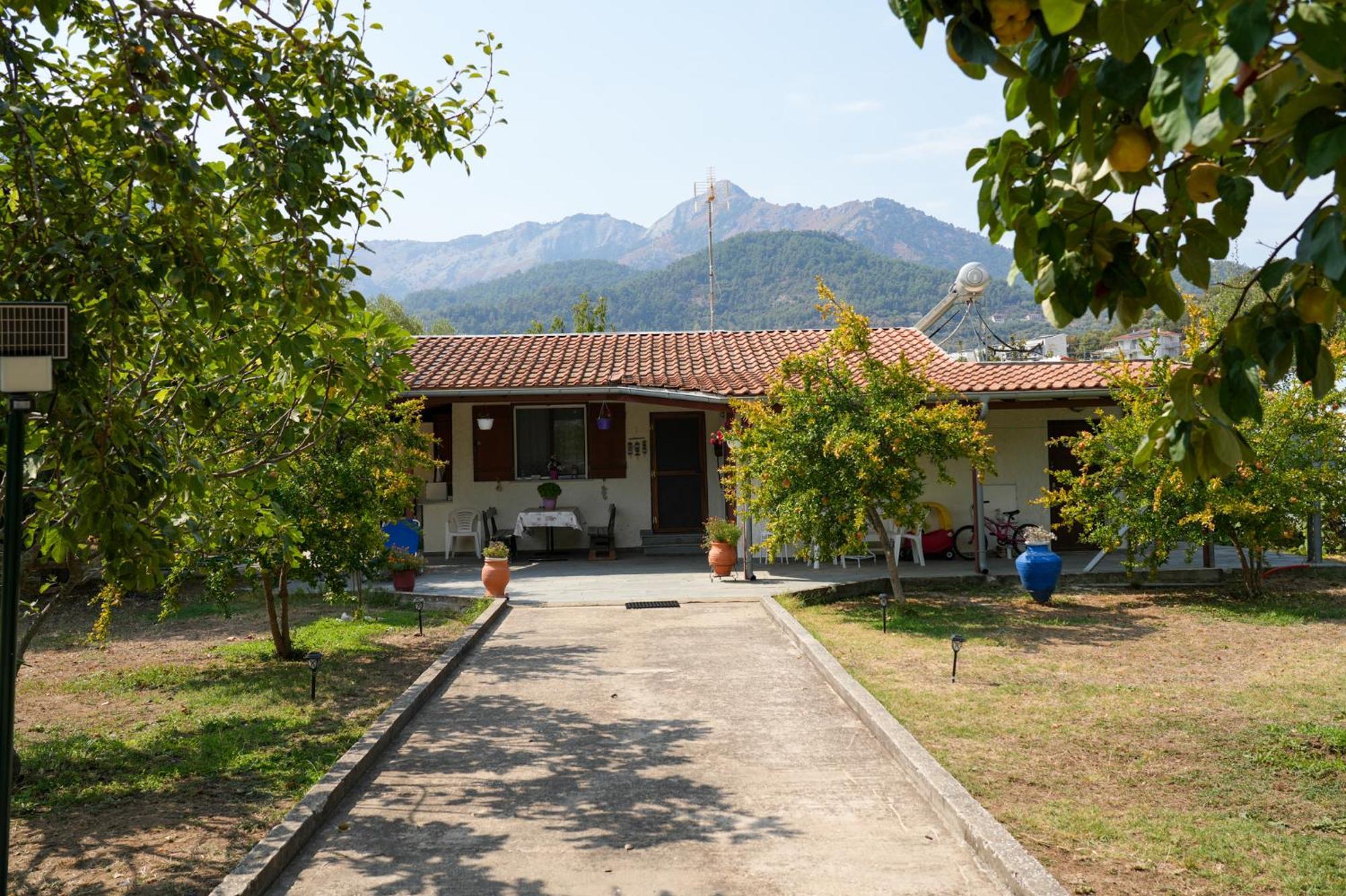 Olive Summer House Chrysi Ammoudia Luaran gambar