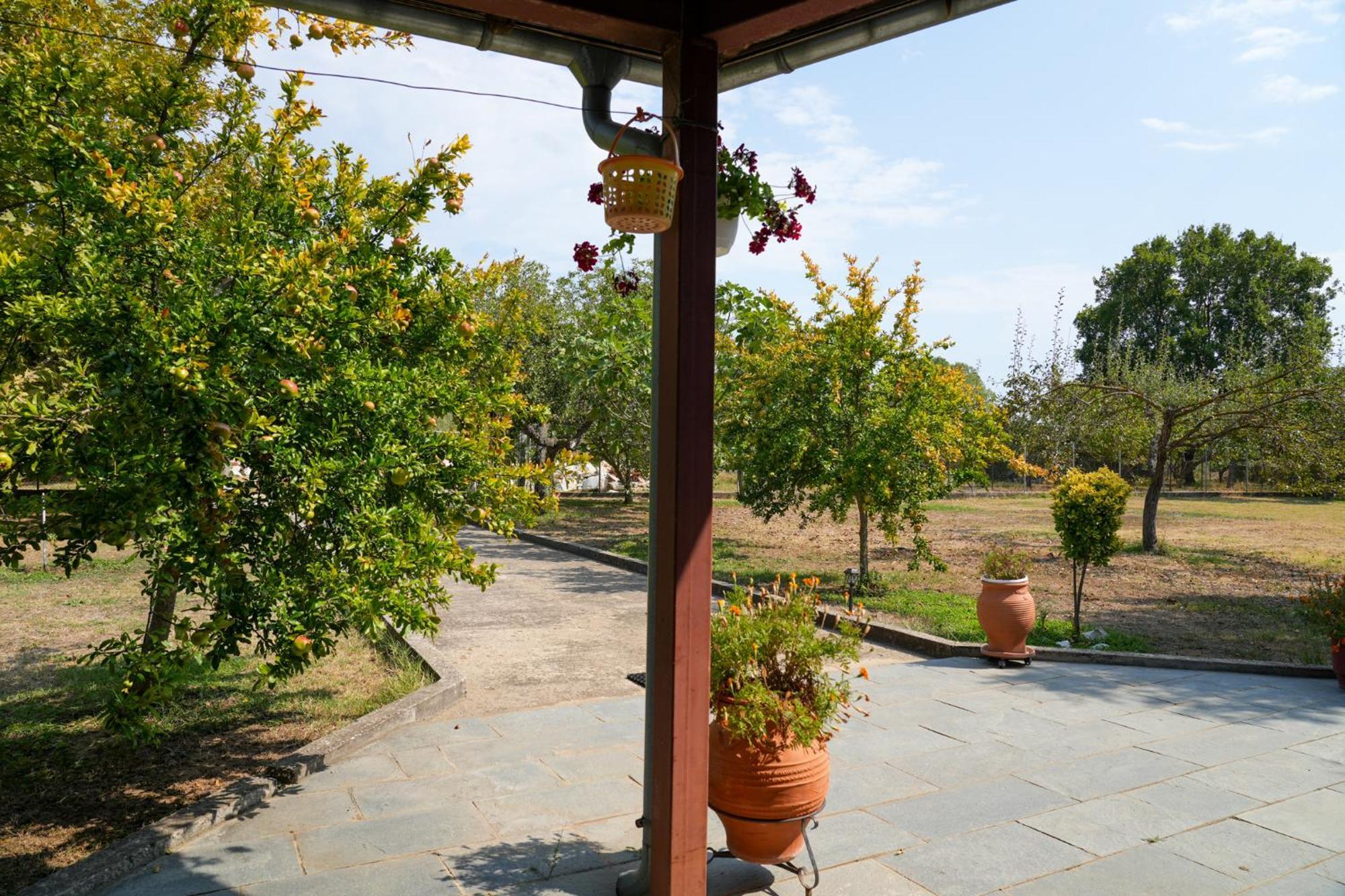 Olive Summer House Chrysi Ammoudia Luaran gambar